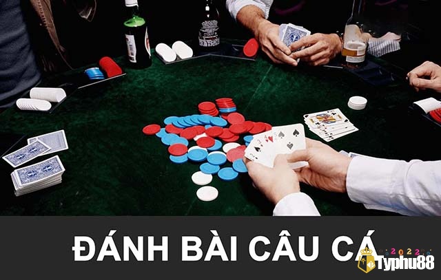 Chơi bài câu cá tại các nhà cái uy tín