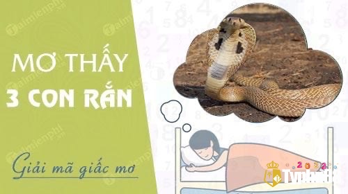 Mơ 3 con rắn cho thấy sự mâu thuẫn và xung đột trong gia đình của anh em