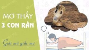 Mơ rắn đánh lô con gì: Giải mã 100% ý nghĩa những giấc mơ