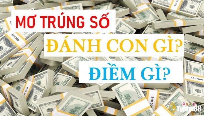 Ngủ mơ trúng lô đánh con gì giải đáp nhanh chính xác?