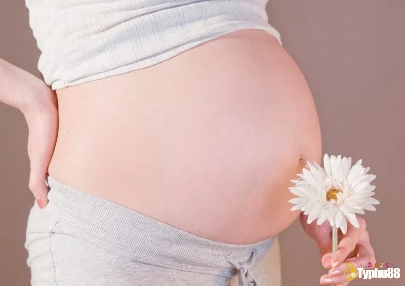 Giải mã giấc mơ thấy mang bầu theo các tình huống cụ thể dễ hiểu