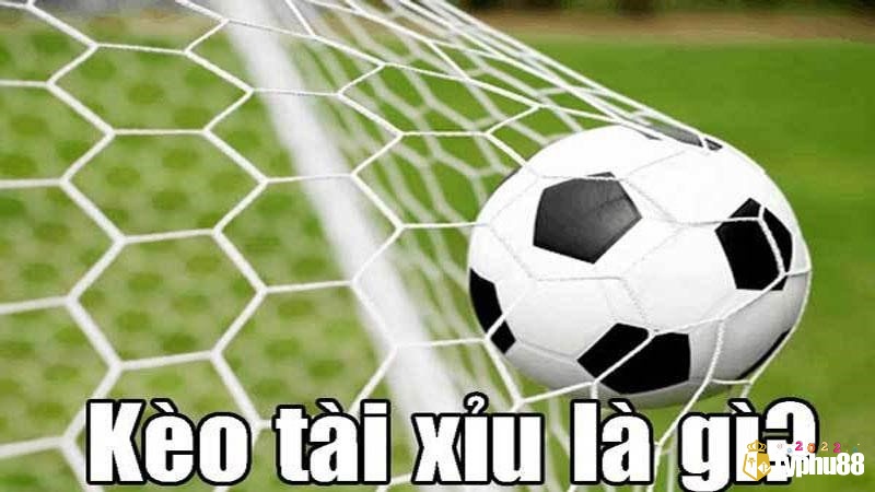 Tài xỉu bóng đá có nhiều dạng kèo khác nhau với những đặc điểm riêng biệt giúp người chơi có nhiều lựa chọn
