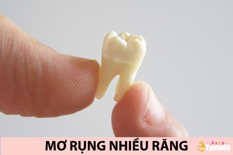 Khi tìm hiểu về mơ gãy răng đánh lô con gì, cần lưu ý rằng không phải tất cả các giấc mơ về gãy răng đều mang ý nghĩa giống nhau.