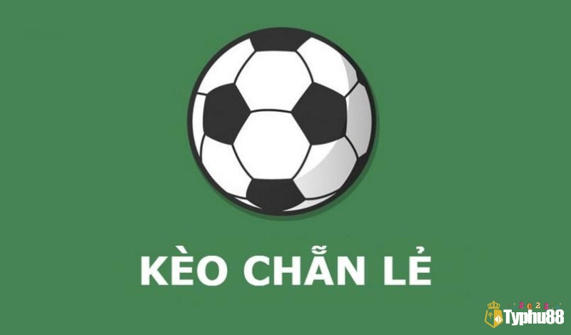 Quy tắc bóng chẵn lẻ trong đề là phương pháp phân tích dựa trên sự phân chia các con số thành hai nhóm: chẵn và lẻ