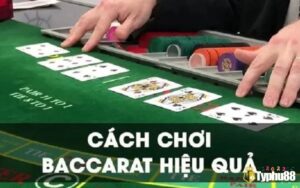 Cách chơi bài baccarat hiệu quả: Chiến thuật thắng lợi từ cao thủ