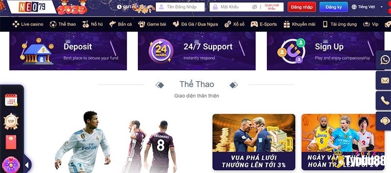 Bạn nhập tên đăng nhập và mật khẩu để bắt đầu quá trình đăng nhập NEO79 của mình