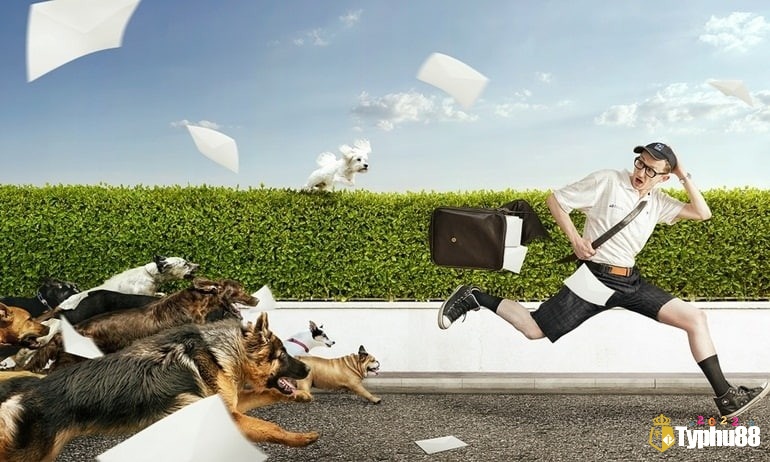 Giải mã giấc mơ chó đuổi theo chi tiết mơ