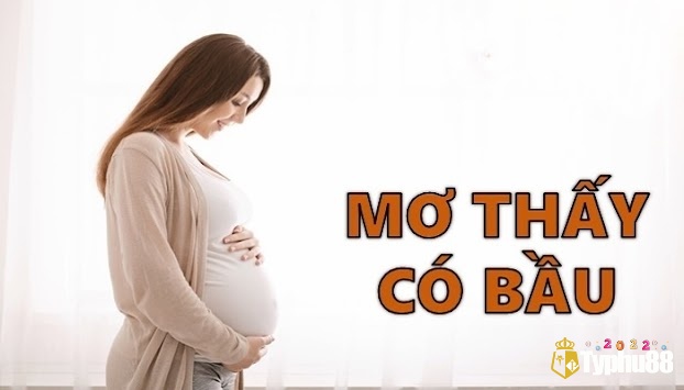 Mơ có bầu chứa đựng ý nghĩa đặc biệt phía sau