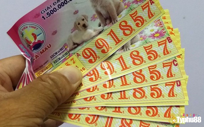 Khi bạn mơ thấy những con số xuất hiện rõ ràng trong giấc mơ đây chính là dấu hiệu trực tiếp nhất về mơ lô đề đánh con gì
