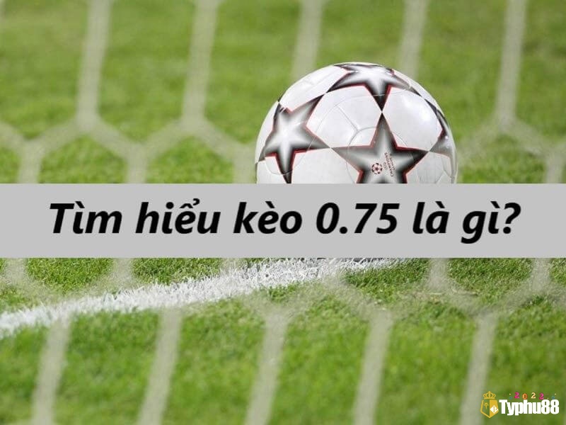Khám phá kèo tài xỉu 0.75 là gì cùng Typhu88 ngay nhé!