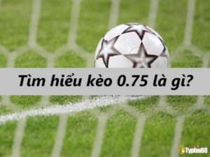 Tài xỉu 0.75 là gì? Cách đọc kèo, tính tiền và chiến thuật hiệu quả
