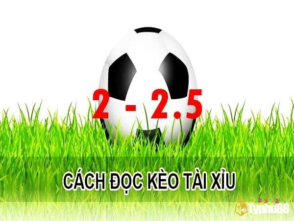 Đặt cửa Tài 2 2.5 mang lại lợi nhuận lớn khi trận đấu có từ ba bàn thắng trở lên