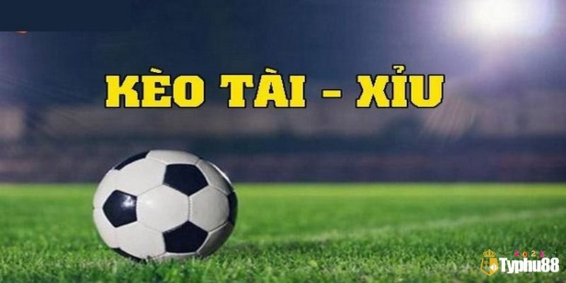 Khám phá kèo tài xỉu 0 5 cùng Typhu88 ngay nhé!