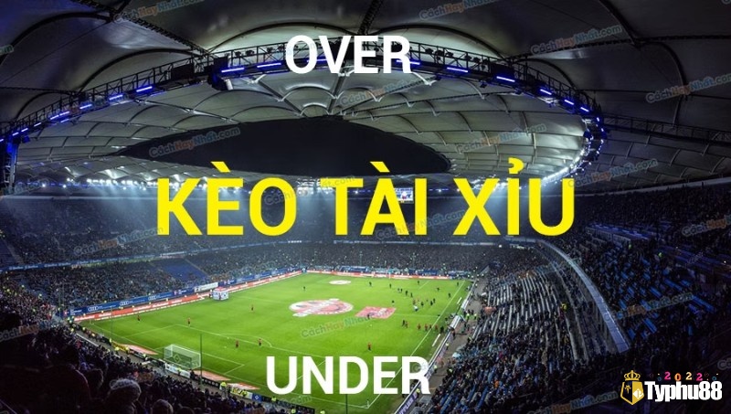 Khám phá kèo tài xỉu 2025 cùng Typhu88 ngay nhé! 