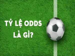Vì sao odds thay đổi? Giải mã nguyên nhân biến động kèo cược