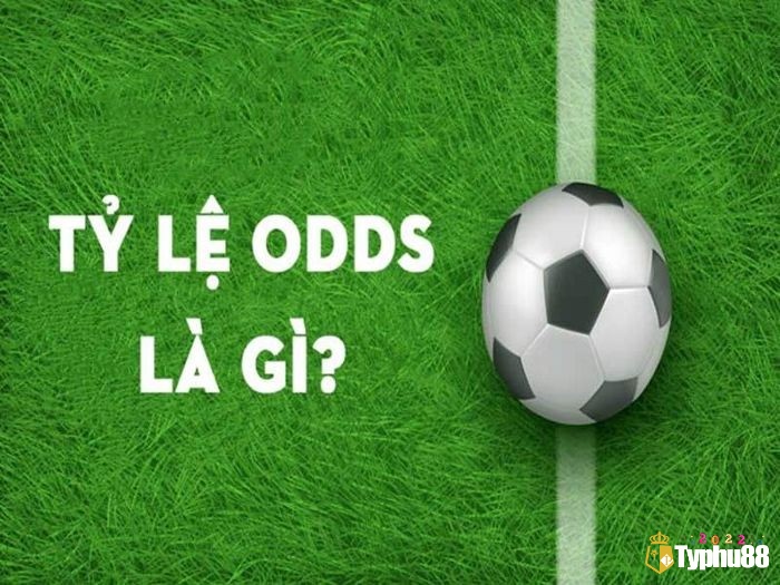 Nắm khái niệm odds giúp bạn hiểu sâu hơn về nguyên nhân vì sao odds thay đổi