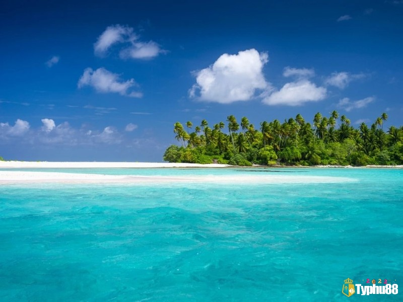 Những giấc mơ thấy biển cả khác phản ánh nhiều điềm báo liên quan đến cuộc sống