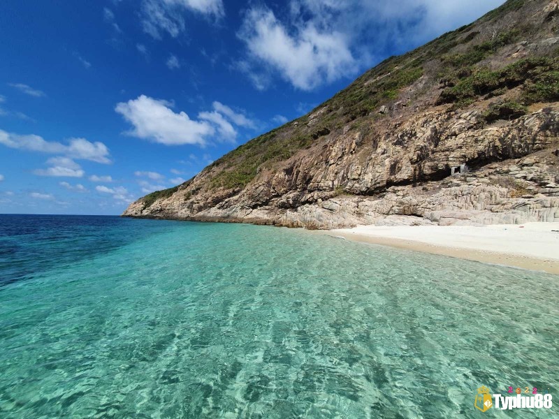 Mơ thấy biển cả đánh con gì được luận giải theo bối cảnh mơ 