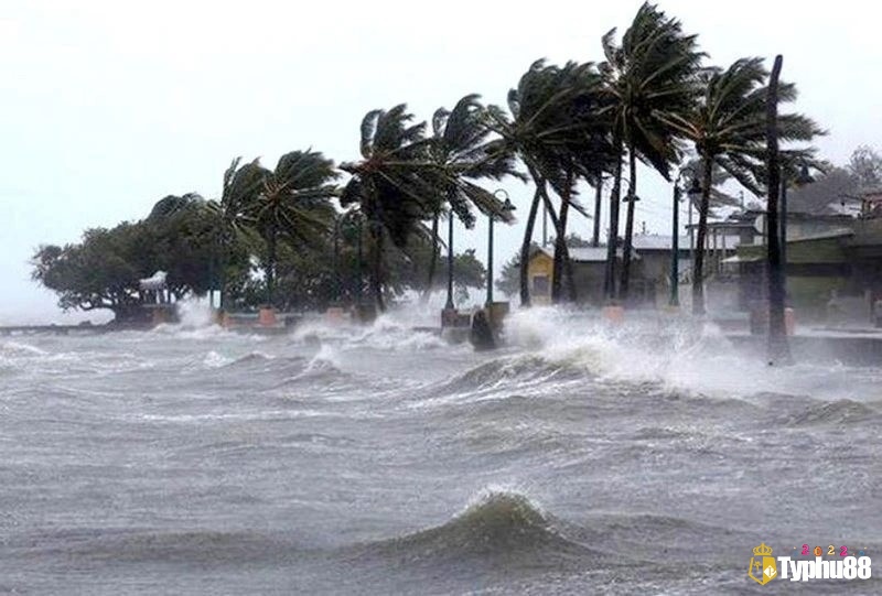 Mơ thấy biển bão phản ánh những biến cố và sự xáo trộn có thể xảy ra