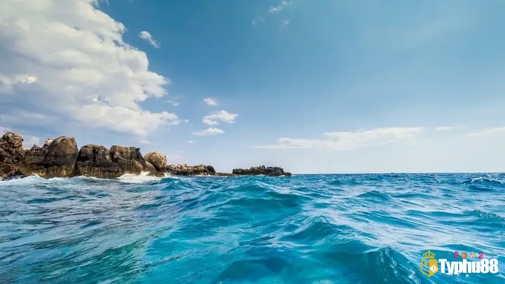 Luận giải mơ thấy biển cả cho thấy các tín hiệu liên quan đến tương lai của bạn 