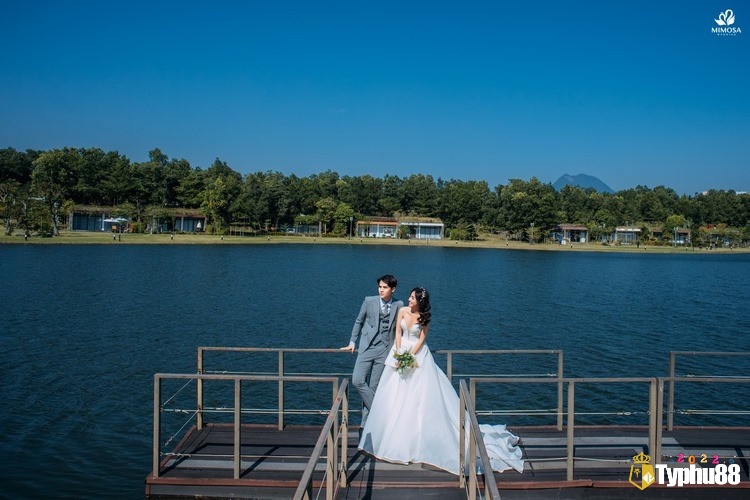 Giấc mơ thấy đám cưới số mấy mang đến cho bạn nhiều con số may mắn mỗi ngày