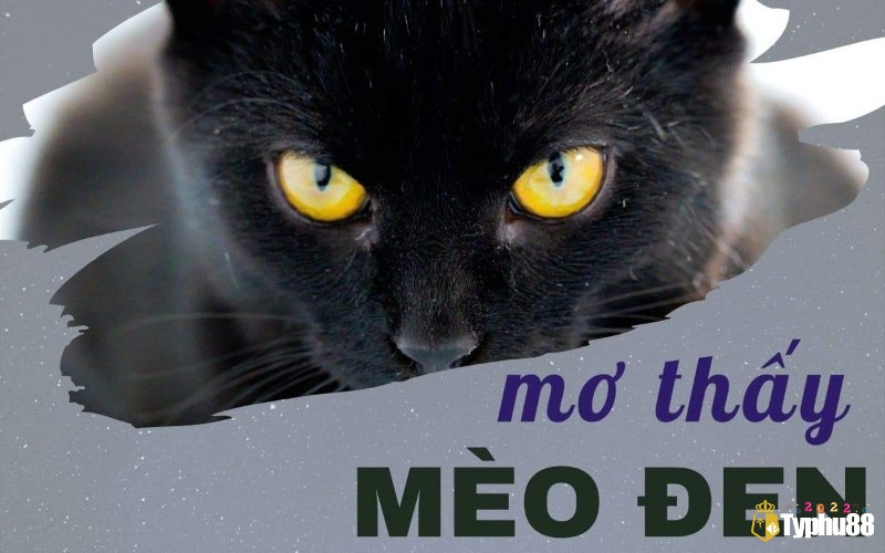 Giấc mơ báo hiệu rằng bạn đang nhận được những tín hiệu vô hình cần chú ý