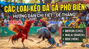 Các loại kèo đá gà phổ biến: Hướng dẫn chi tiết, dễ thắng