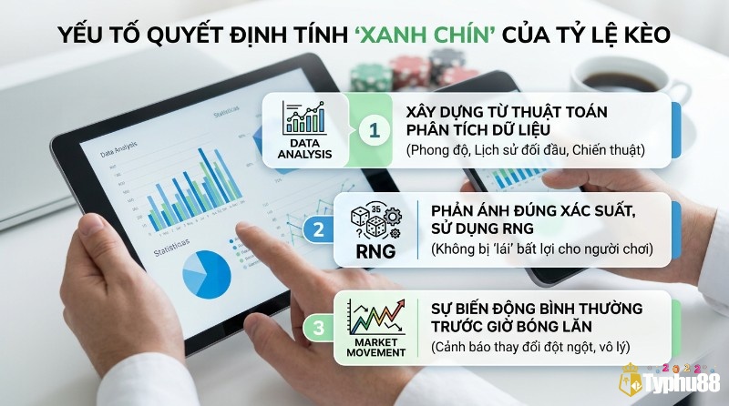 Yếu tố quyết định tính "xanh chín", của tỷ lệ kèo: phân tích dữ liệu, RNG và biến động thị trường, thể hiện qua biểu đồ trên máy tính bảng