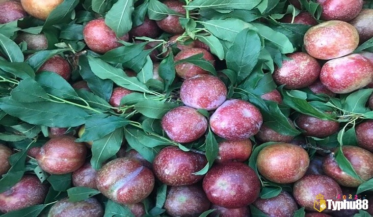 Giải mã giấc mơ thấy trái cây đánh con gì mang đến cho bạn nhiều con số may mắn mỗi ngày