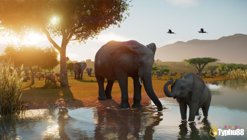 Planet Zoo có mô hình động vật 3D chân thực