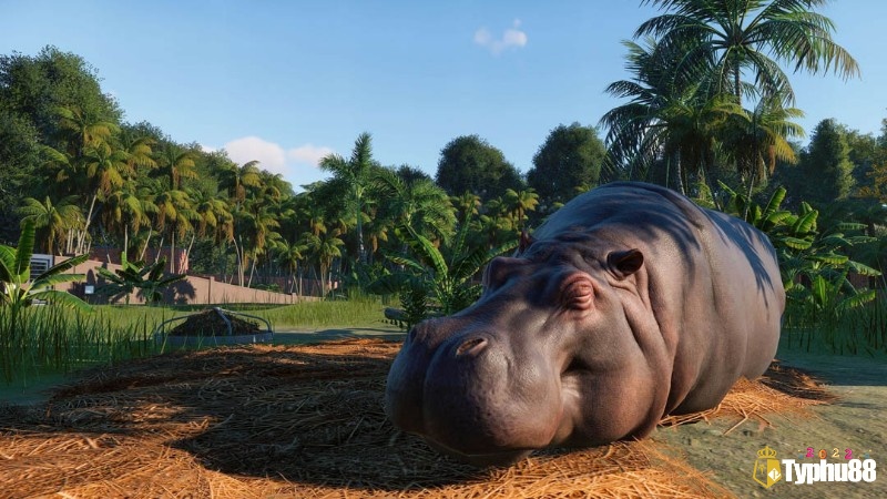 Planet Zoo mô phỏng động vật và môi trường sống